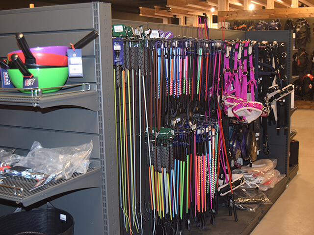 Pet Shop Shelving