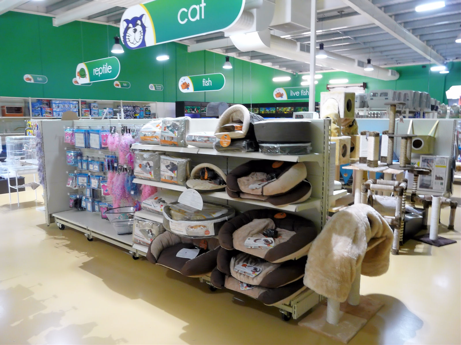 Pet shop shelving