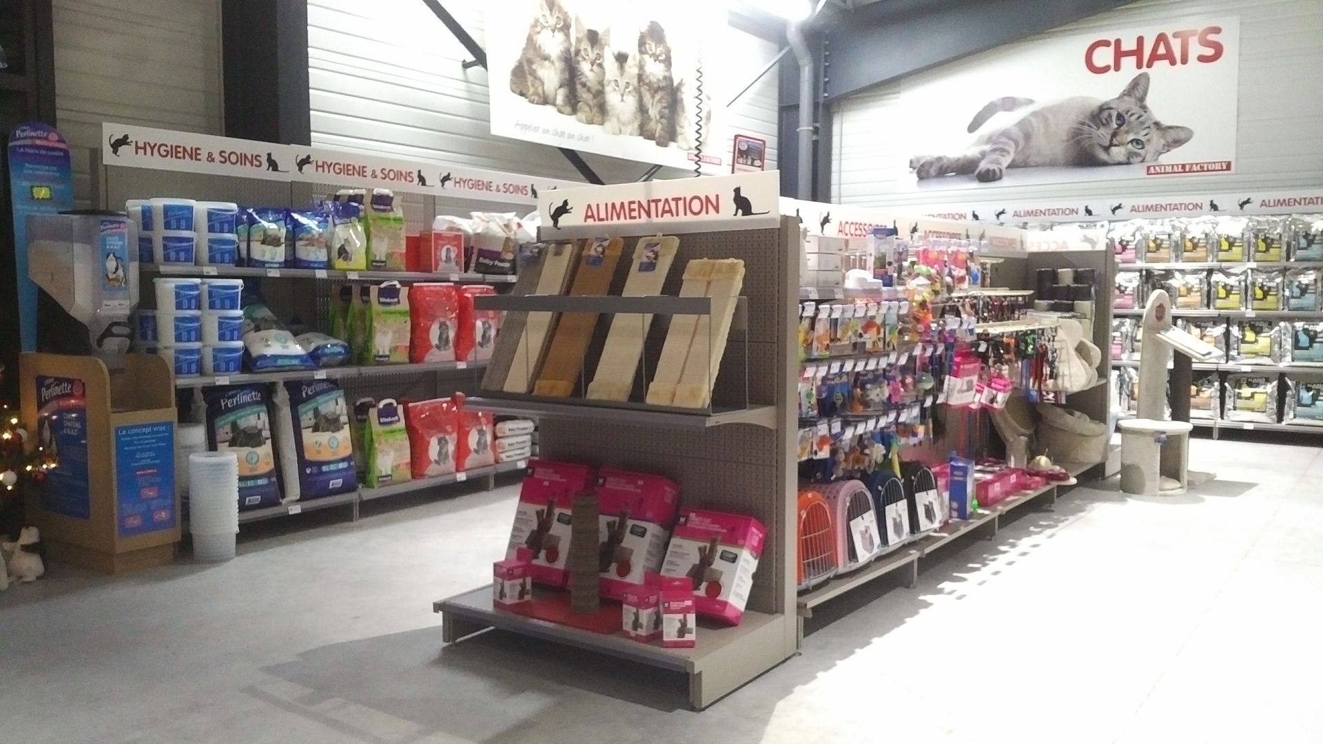 Pet Shop Retail Display Tips - Maximize Sales Today | CAEM Retail ...